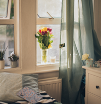Minimalist Bedroom With Plants