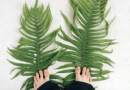 Decluttering Before and After