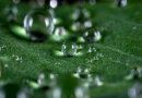 The Benefits of Natural Cleaning Products