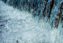 Natural Home Cleaning Products